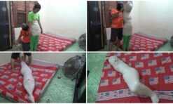 [RM033] a cute girl mummified with hands up pose