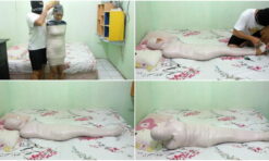 [RM036] A girl struggles after being mummified