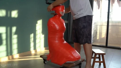 Body Furniture - Tape Mummy Pallet Dolly - Image 2