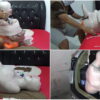 [RM072] This Girl Was Helpless When Put In Car Because Her Body Was Wrapped Tightly In Mummy