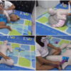 [RM079] Beautiful girl frogtied in mummification style and given vibrator stimulation
