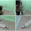 [RM104] The first time mummified, this beautiful girl was terrified when became a mummy