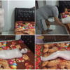 [RM111] This beautiful girl tries to be wrapped as a mummy for the first time with her eyes uncovered