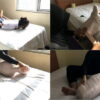 [RM122] Cocoa-Soft Collaboration: Girl 150 cm wrapped in hogtied pose and smothered in pillow