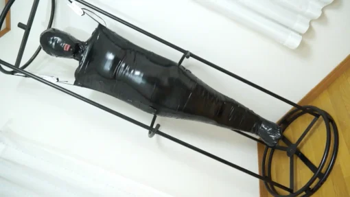 Mummification ver.015 - Image 7