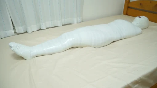 Mummification ver.016 - Image 8
