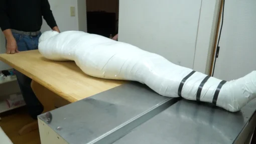 Mummification ver.016 - Image 7