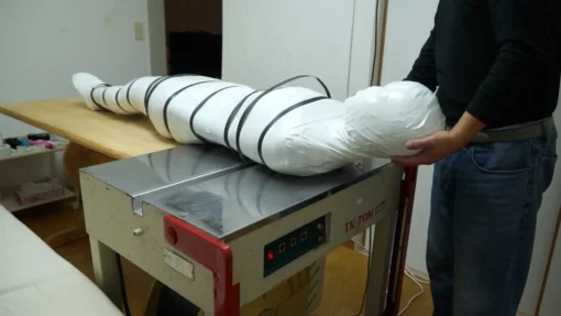 Mummification ver.016 - Image 6